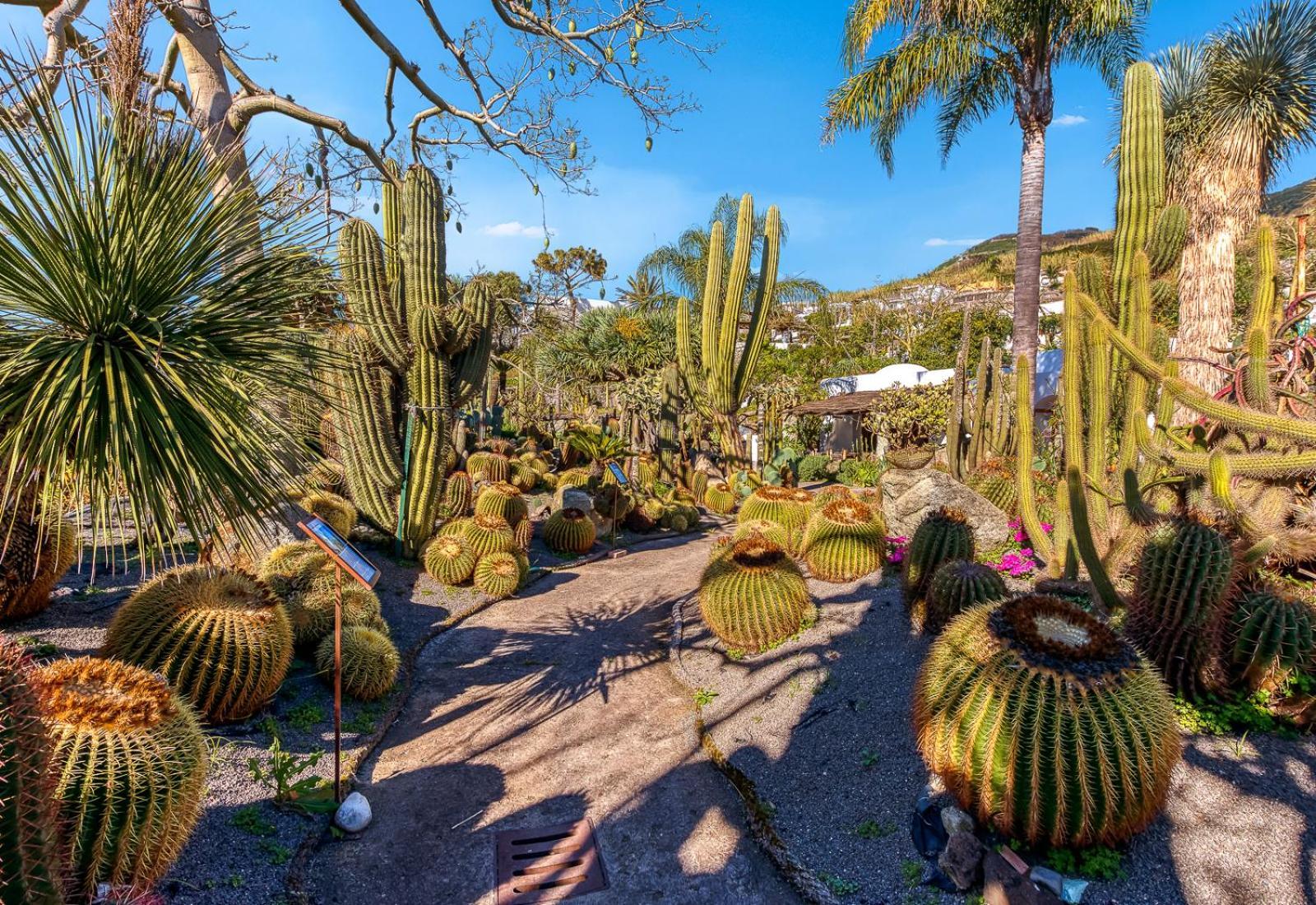 Villa Ravino Secret Retreat Forio di Ischia エクステリア 写真
